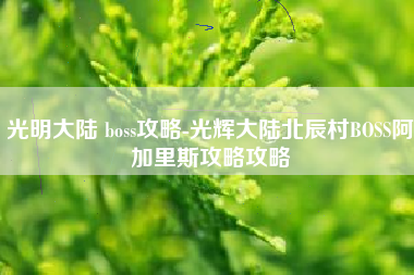 光明大陆 boss攻略-光辉大陆北辰村BOSS阿加里斯攻略攻略