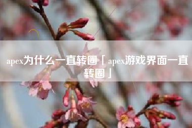 apex为什么一直转圈「apex游戏界面一直转圈」