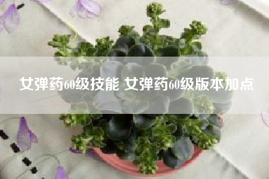 女弹药60级技能 女弹药60级版本加点