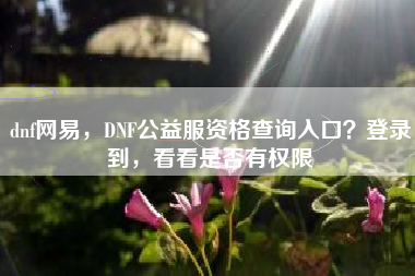 dnf网易，DNF公益服资格查询入口？登录到，看看是否有权限