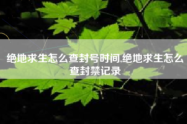 绝地求生怎么查封号时间,绝地求生怎么查封禁记录