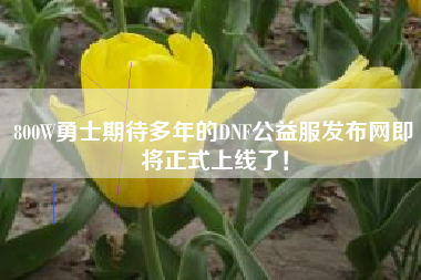 800W勇士期待多年的DNF公益服发布网即将正式上线了！