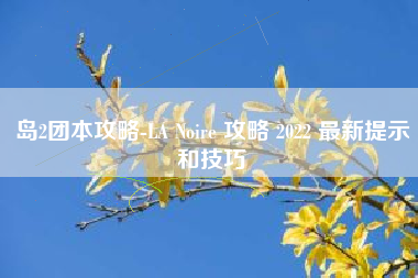 岛2团本攻略-LA Noire 攻略 2022 最新提示和技巧