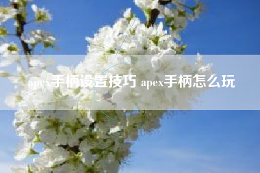 apex手柄设置技巧 apex手柄怎么玩