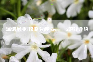 泽诺尼亚5攻略套装-Zenonia 5游戏介绍