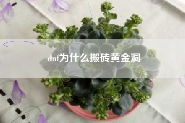 dnf为什么搬砖黄金洞