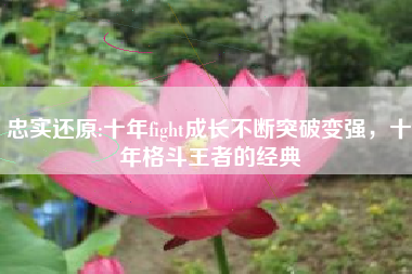 忠实还原:十年fight成长不断突破变强，十年格斗王者的经典