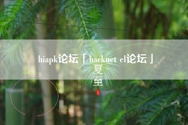 hiapk论坛「hacknet el论坛」