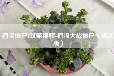 植物僵尸1攻略视频-植物大战僵尸（测试版）