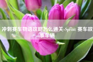 冲刺赛车物语攻略怎么通关-Sprint 赛车故事车辆