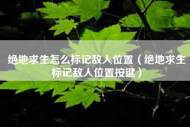 绝地求生怎么标记敌人位置（绝地求生标记敌人位置按键）