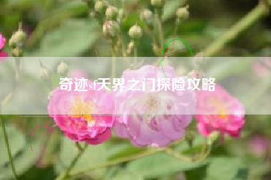 奇迹sf天界之门探险攻略