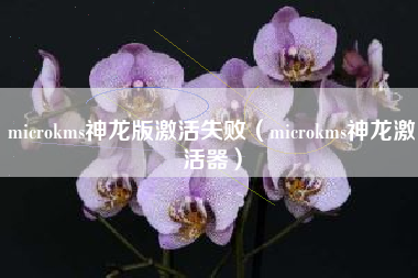 microkms神龙版激活失败（microkms神龙激活器）