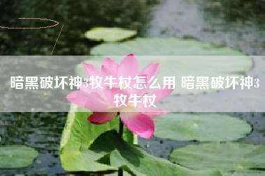 暗黑破坏神3牧牛杖怎么用 暗黑破坏神3牧牛杖