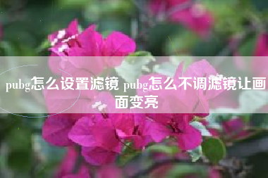 pubg怎么设置滤镜 pubg怎么不调滤镜让画面变亮