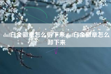 dnf白金徽章怎么拆下来,dnf白金徽章怎么卸下来