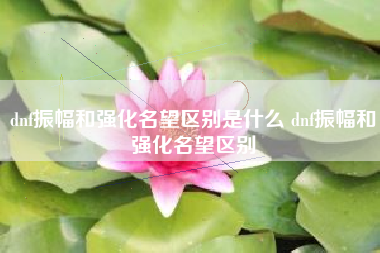 dnf振幅和强化名望区别是什么 dnf振幅和强化名望区别