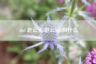 dnf 赵云,dnf赵云buff叫什么