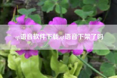 qt语音软件下载,qt语音下架了吗