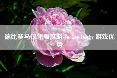 德比赛马汉化版攻略-Jockey Derby 游戏优势