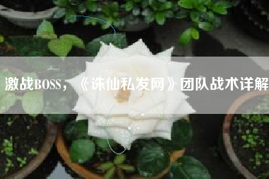 激战BOSS，《诛仙私发网》团队战术详解