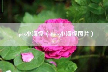 apex小海怪（Apex小海怪图片）