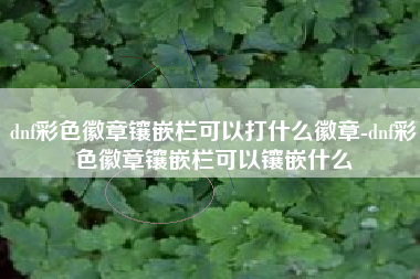 dnf彩色徽章镶嵌栏可以打什么徽章-dnf彩色徽章镶嵌栏可以镶嵌什么