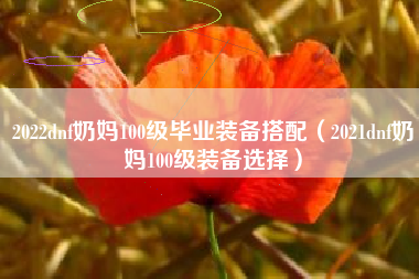 2022dnf奶妈100级毕业装备搭配（2021dnf奶妈100级装备选择）