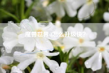 魔兽世界sf怎么升级快？