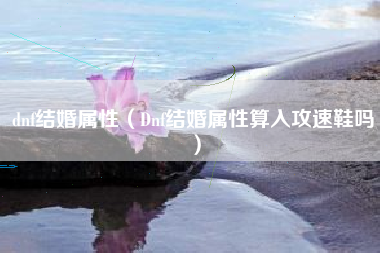 dnf结婚属性（Dnf结婚属性算入攻速鞋吗）