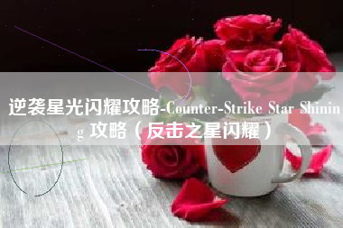 逆袭星光闪耀攻略-Counter-Strike Star Shining 攻略（反击之星闪耀）