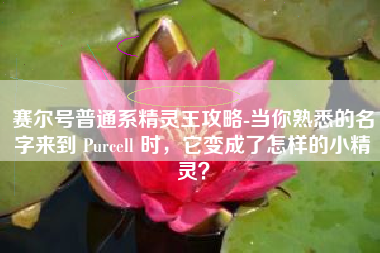 赛尔号普通系精灵王攻略-当你熟悉的名字来到 Purcell 时，它变成了怎样的小精灵？