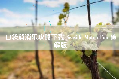 口袋消消乐攻略下载-Seaside Match Fun 破解版