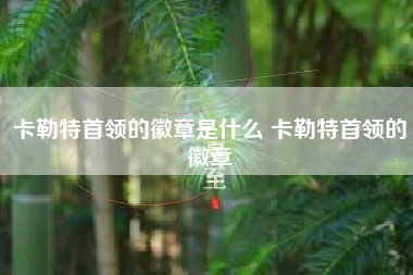 卡勒特首领的徽章是什么 卡勒特首领的徽章