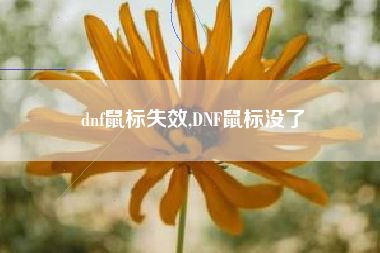 dnf鼠标失效,DNF鼠标没了