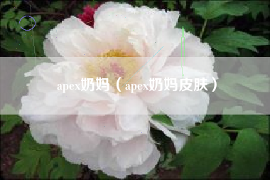 apex奶妈（apex奶妈皮肤）