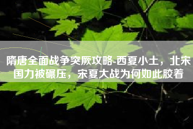 隋唐全面战争突厥攻略-西夏小土，北宋国力被碾压，宋夏大战为何如此胶着