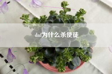 dnf为什么杀使徒