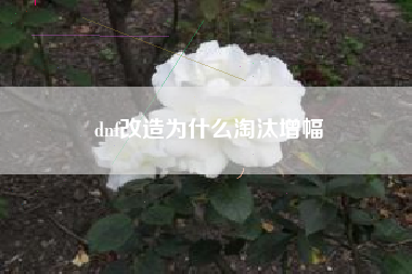 dnf改造为什么淘汰增幅