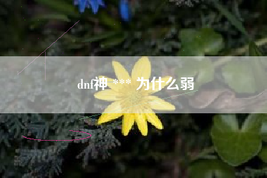 dnf神 *** 为什么弱