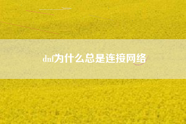 dnf为什么总是连接网络