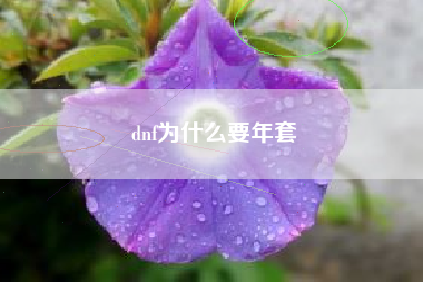 dnf为什么要年套