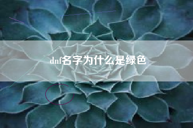 dnf名字为什么是绿色