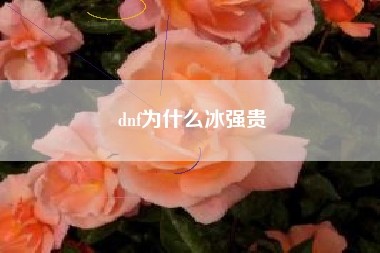 dnf为什么冰强贵