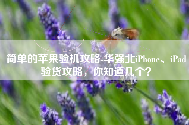 简单的苹果验机攻略-华强北iPhone、iPad验货攻略，你知道几个？