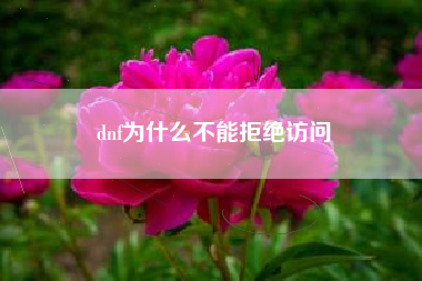 dnf为什么不能拒绝访问