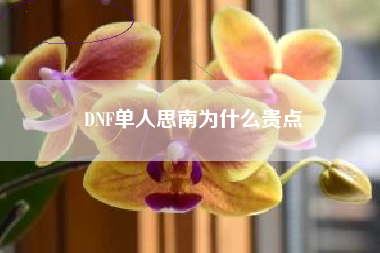 DNF单人思南为什么贵点