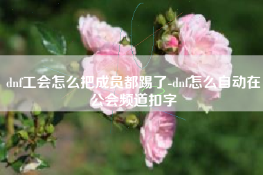 dnf工会怎么把成员都踢了-dnf怎么自动在公会频道扣字