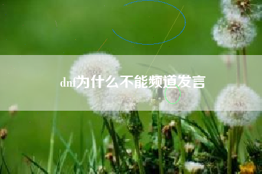 dnf为什么不能频道发言