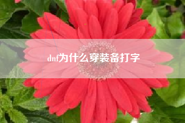 dnf为什么穿装备打字